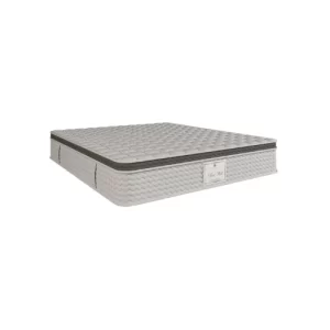 Rest Well Mattress